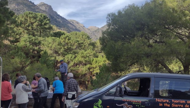 Tour en 4x4 por el Parque Nacional Sierra de las Nieves - Foto 2