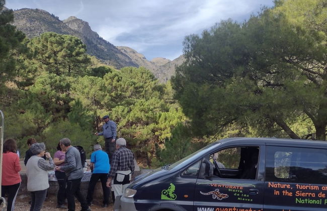 Tour in 4x4 by Sierra de las Nieves National Park - Photo 2