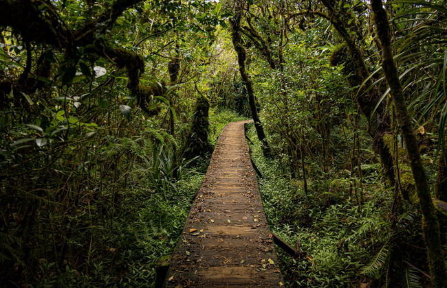 Randonnée à Bélouve et au Trou de Fer - Photo 4