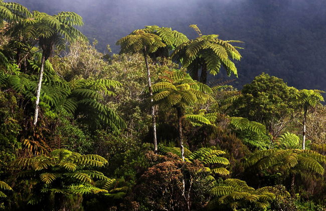 Randonnée à Bélouve et au Trou de Fer - Photo 2
