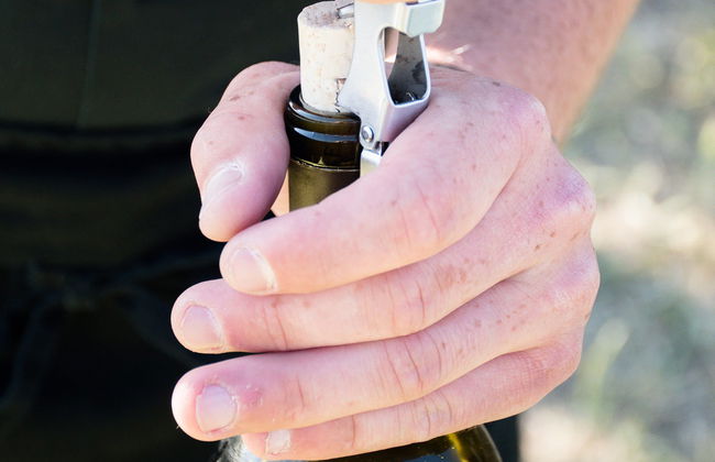 Excursión a los castillos de Villandry y de Azay-le-Rideau + Bodegas del Loira - Foto 7