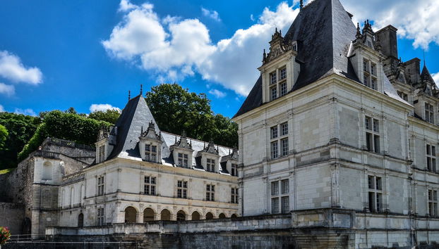 Excursión a los castillos de Villandry y de Azay-le-Rideau + Bodegas del Loira - Foto 2