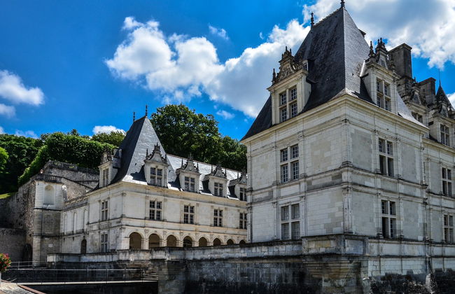 Excursión a los castillos de Villandry y de Azay-le-Rideau + Bodegas del Loira - Foto 2