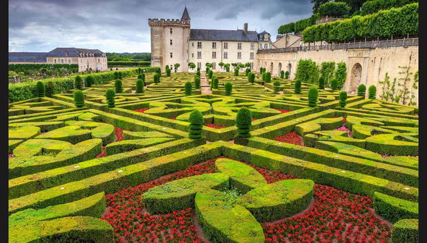 Excursión a los castillos de Villandry y de Azay-le-Rideau + Bodegas del Loira - Foto 3