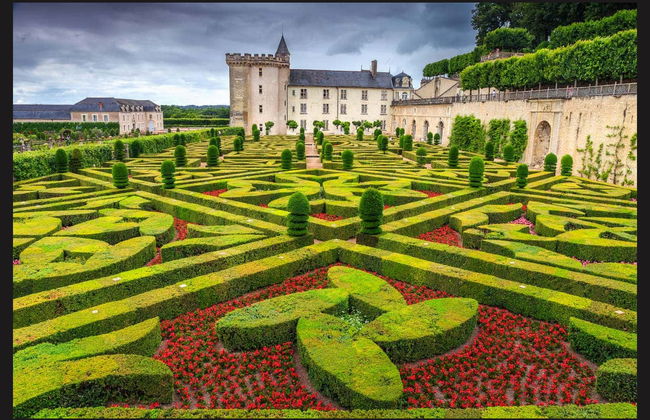 Excursión a los castillos de Villandry y de Azay-le-Rideau + Bodegas del Loira - Foto 3