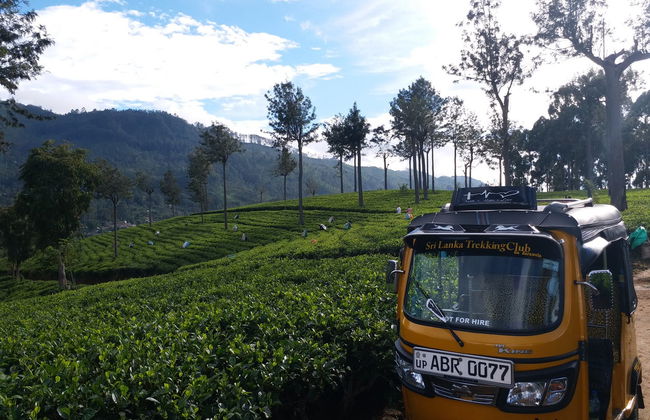 Tour en tuk tuk por las plantaciones de té de Haputale - Foto 3