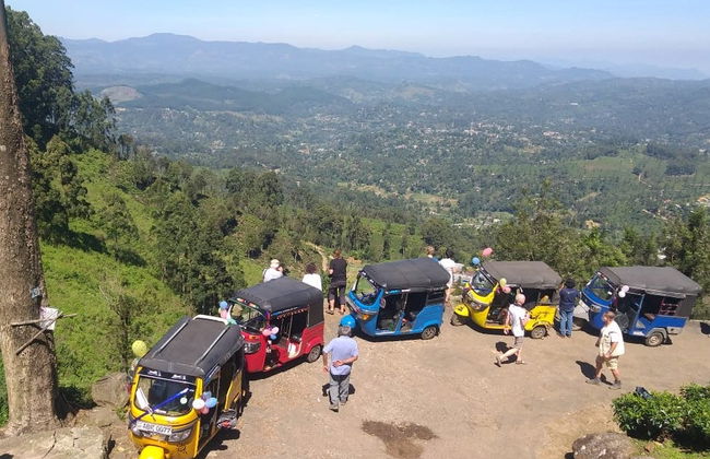 Tour en tuk tuk por las plantaciones de té de Haputale - Foto 2