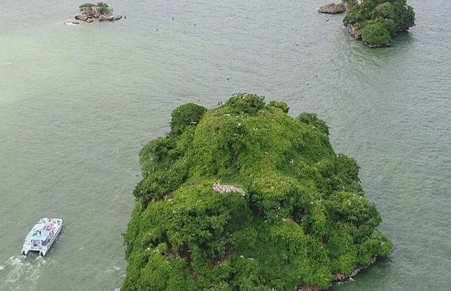 Excursão ao Parque Nacional Los Haitises - Foto 4