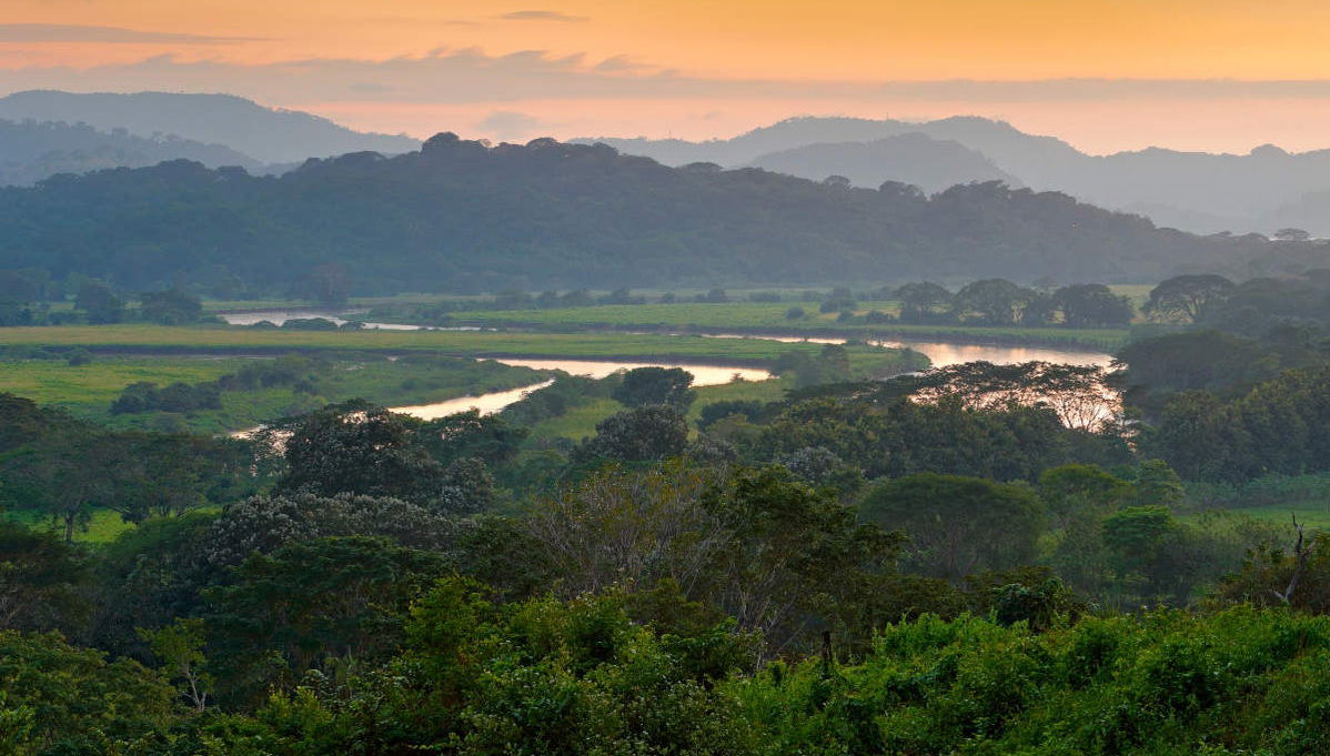 Carara National Park Tour - Photo 1