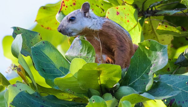 Carara National Park Tour - Photo 4