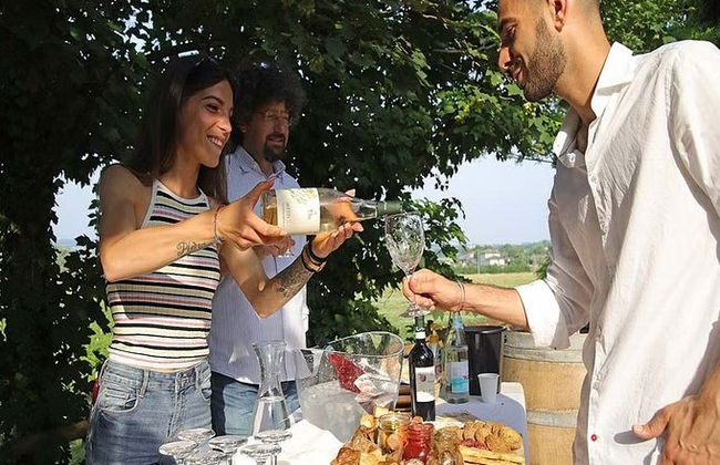Biodynamic Farm Tour + Wine Tasting - Photo 5