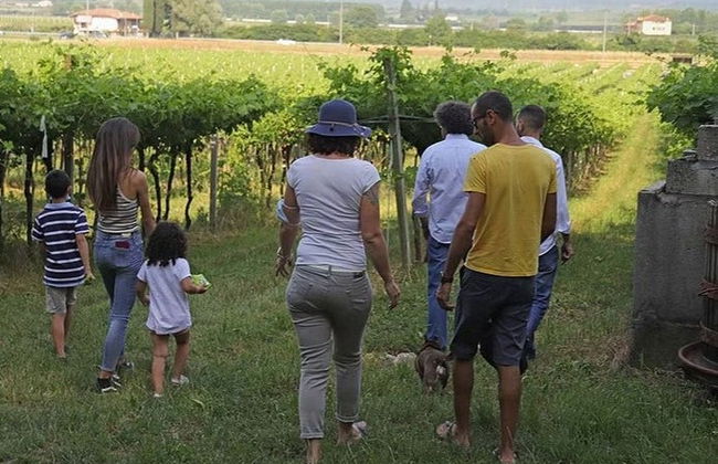 Biodynamic Farm Tour + Wine Tasting - Photo 3