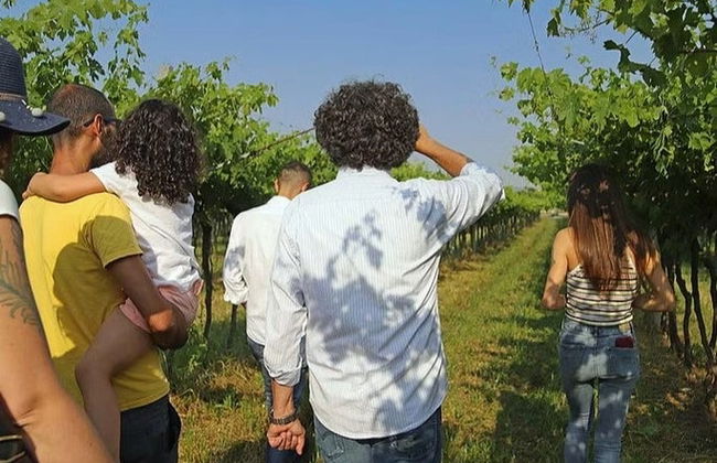Biodynamic Farm Tour + Wine Tasting - Photo 4