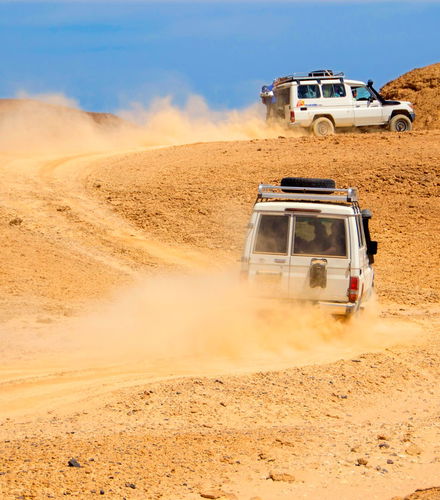 Foto de Tour en 4x4 + Paseo en camello + Cena con espectáculo en el desierto