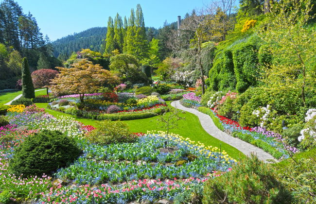 Escursione a Victoria - Foto 2