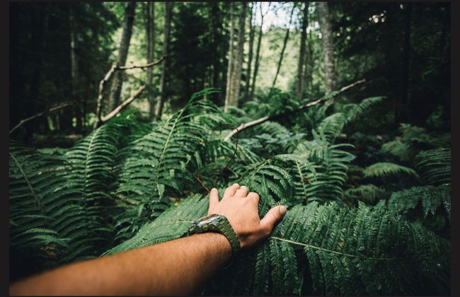 Senderismo por la Ruta de Indiana Jones + Catarata Borgoña - Foto 1