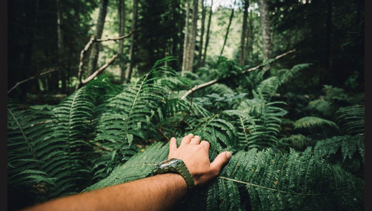 Indiana Jones Hiking Route + Burgundy Waterfall - Foto 1