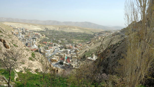 Tour de 5 días por Damasco, Palmira y Maaloula - Foto 4