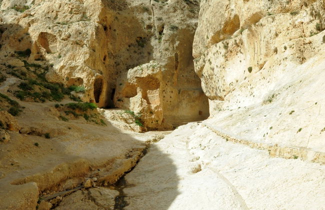 Tour de 5 días por Damasco, Palmira y Maaloula - Foto 3