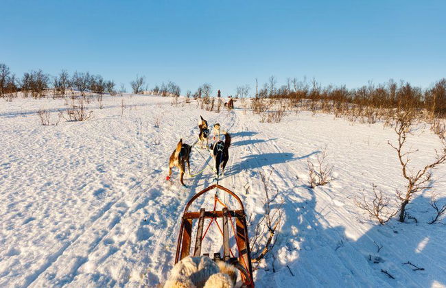 Le voyage ultime en traîneau à chiens Levi's de 15 km - Photo 4