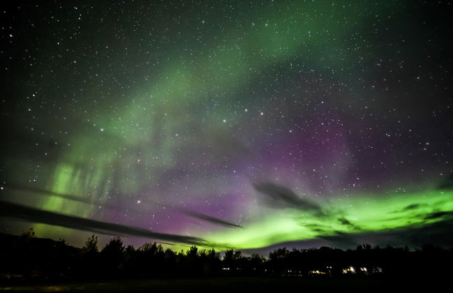 Tour da aurora boreal + Avistamento de baleias - Foto 1