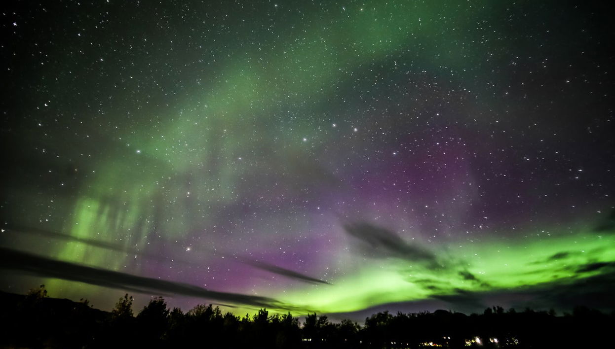 Tour de la aurora boreal + Avistamiento de ballenas - Foto 1