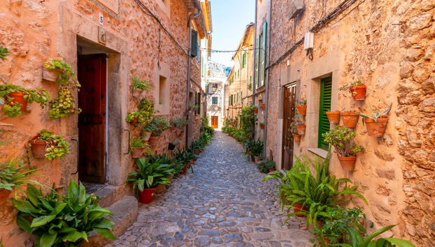 Palma + Valldemosa Excursion - Foto 3