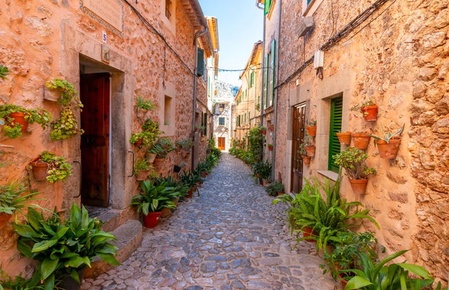 Excursión a Palma y Valldemosa - Foto 3