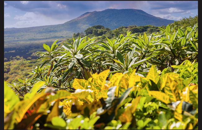Excursão a Granada e ao Parque Nacional Masaya - Foto 1