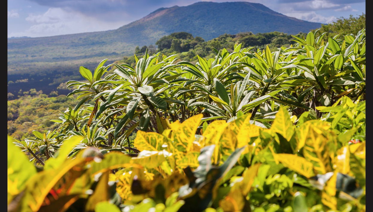 Excursão a Granada e ao Parque Nacional Masaya - Foto 1