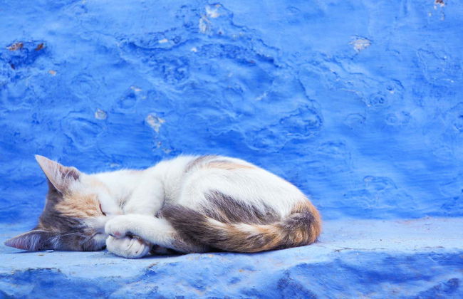 7 días de Tánger a Marrakech con visita al desierto de Merzouga - Foto 8