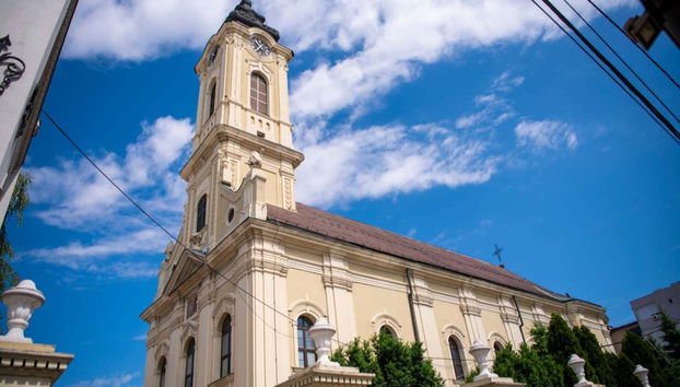 Free tour dans Zemun - Photo 5