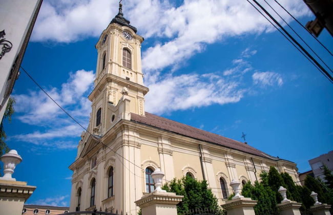Free tour dans Zemun - Photo 5