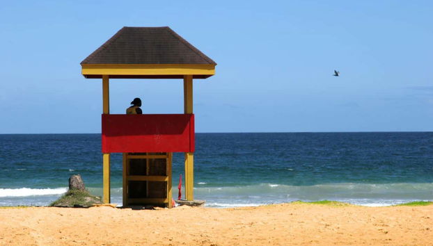 Excursion à la plage de Maracas - Photo 5