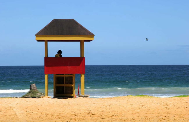 Excursión a la playa Maracas - Foto 5