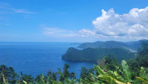 Excursion à la plage de Maracas - Photo 4