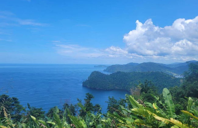Excursión a la playa Maracas - Foto 4