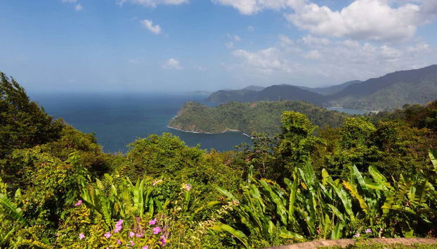Excursion à la plage de Maracas - Photo 2