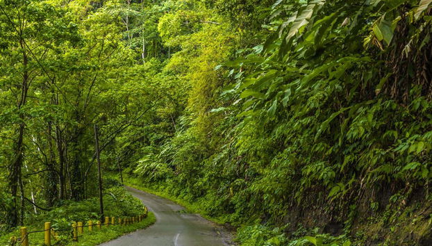 Excursion à la plage de Maracas - Photo 3