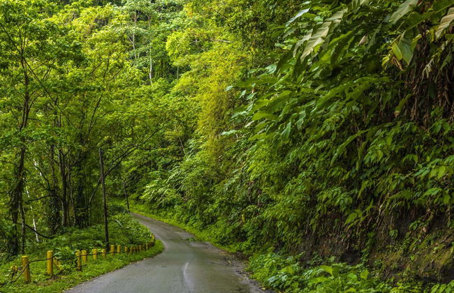Excursión a la playa Maracas - Foto 3