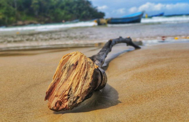 Excursión a la playa Maracas - Foto 6