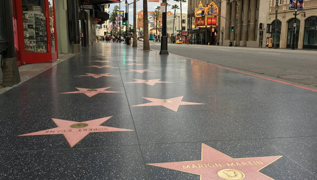 Hollywood & Beverly Hills Sightseeing Trolley Tour - Photo 5