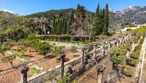 Entrada a los Jardines de Alfabia - Foto 4