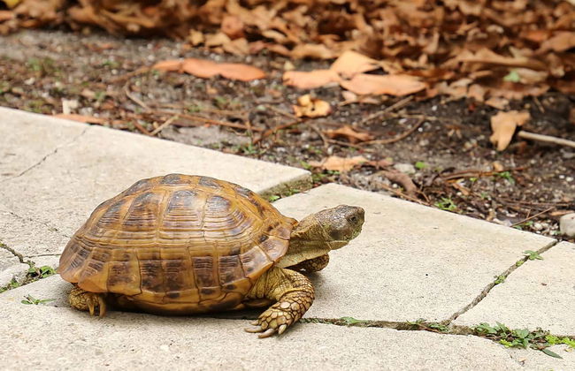 Tour por Fort Lauderdale en grupo reducido + Paseo en barco - Foto 6