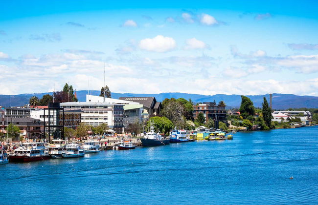Valdivia Guided Tour - Photo 6