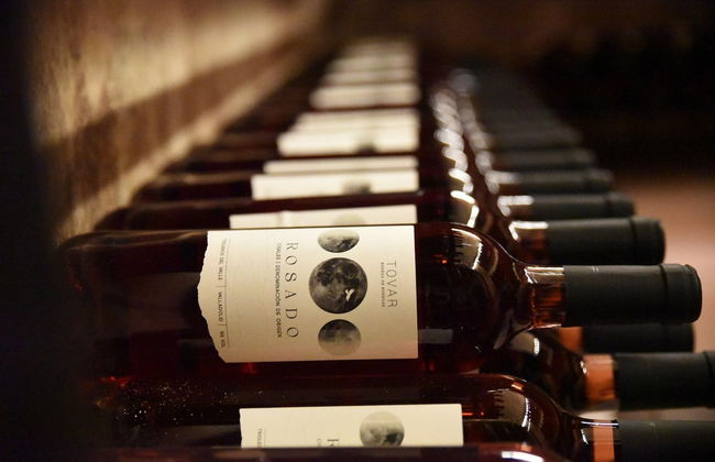 Visita à Bodega Tovar - Foto 5