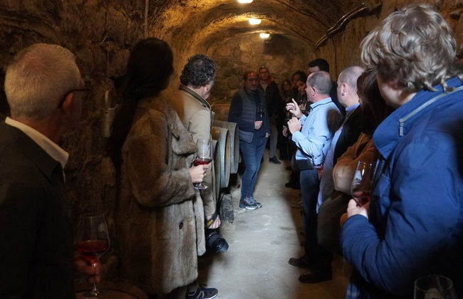 Visita à Bodega Tovar - Foto 4