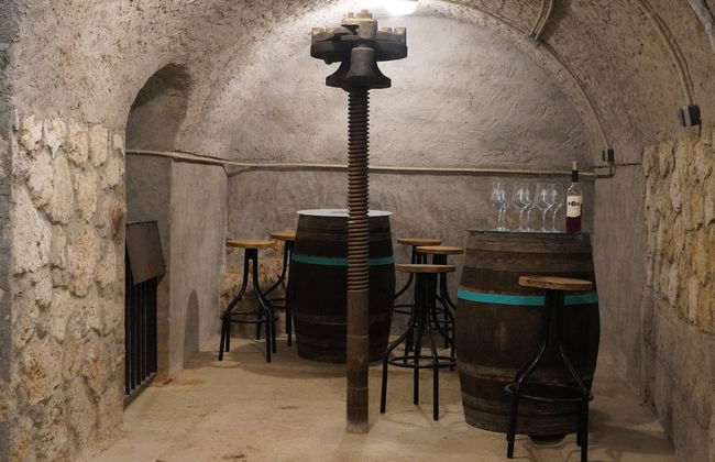 Visita à Bodega Tovar - Foto 6