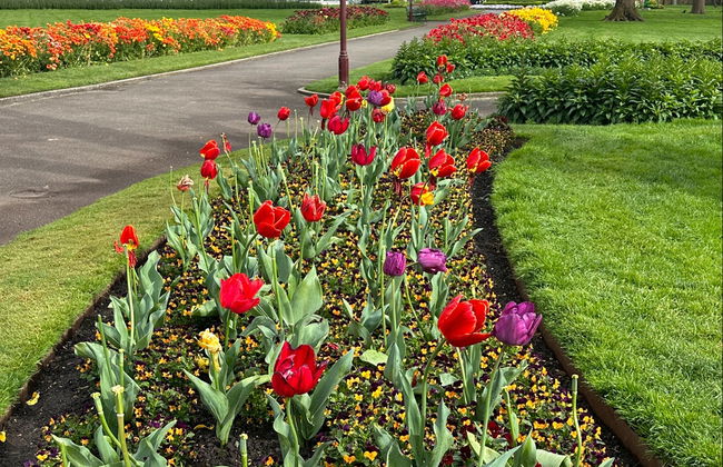 Melbourne Skydeck, Sovereign Hill y Jardín Botánico de Ballarat - Foto 4