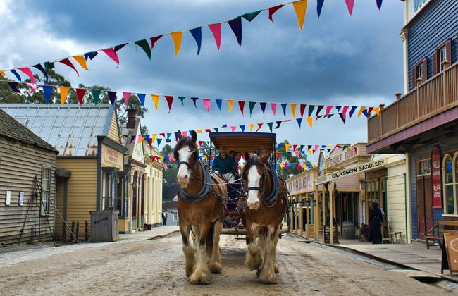 Melbourne Skydeck, Sovereign Hill y Jardín Botánico de Ballarat - Foto 10